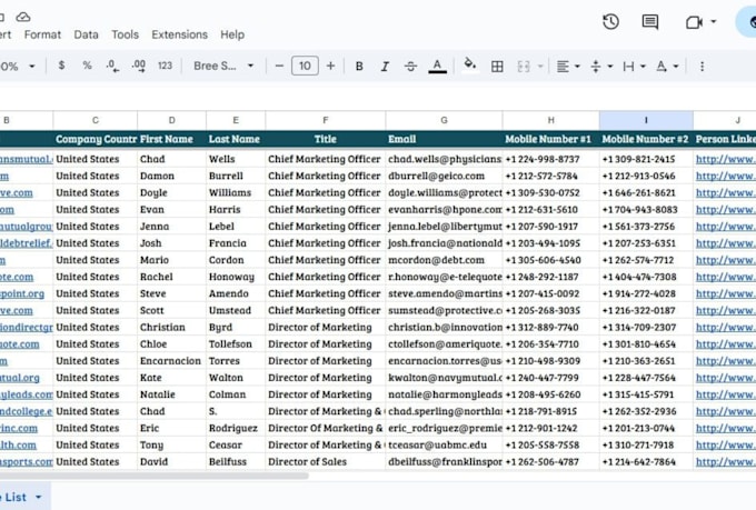 provide accurate, high quality b2b prospecting leads for your business